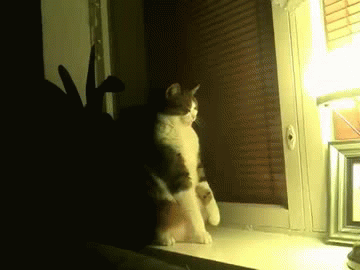 Daily GIFs Mix, part 182