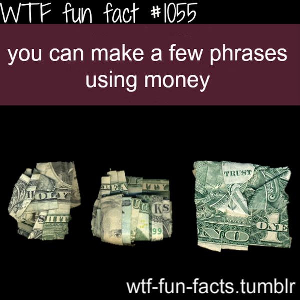 WTF Fun Facts