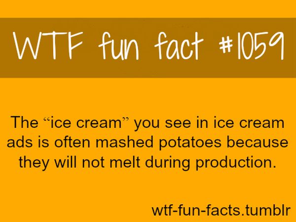 WTF Fun Facts | Fun