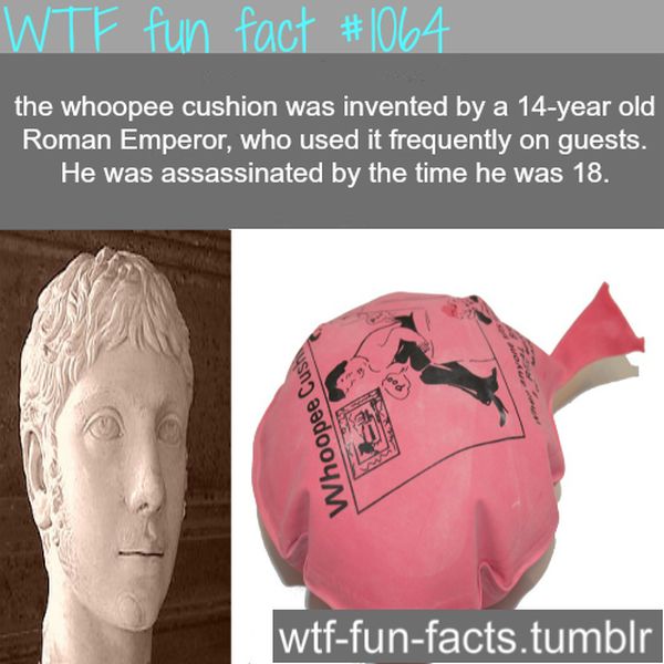 random fun facts tumblr