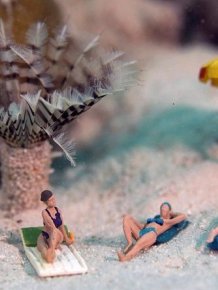 Toy Figures in Underwater Scenes