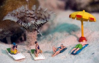 Toy Figures in Underwater Scenes