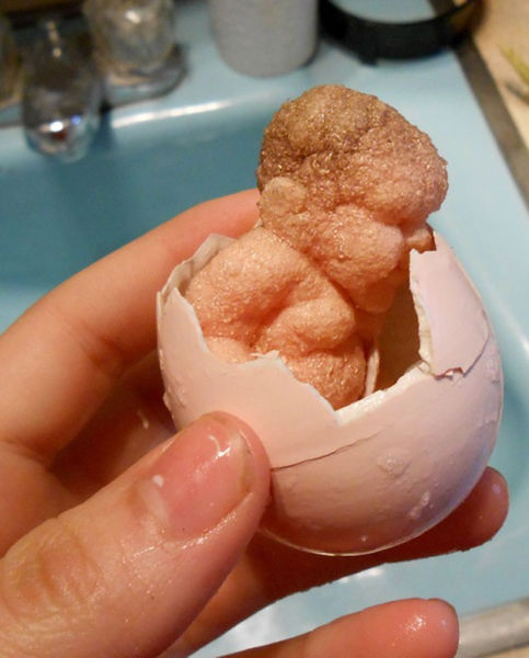 Baby from an Egg