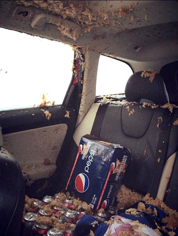Never Leave Cans of Soda in Your Car...