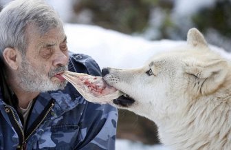 Dining with Wolves