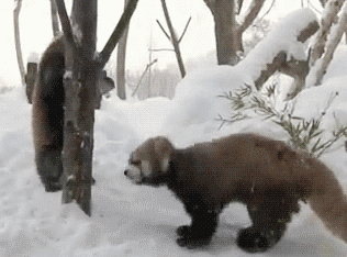 Daily GIFs Mix, part 186