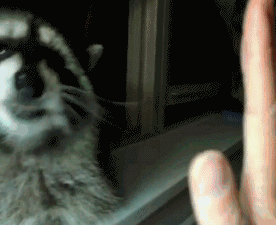 Daily GIFs Mix, part 186