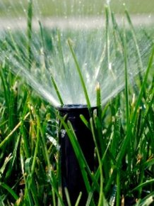 What Happens if You Use Lawn Sprinkler in Winter