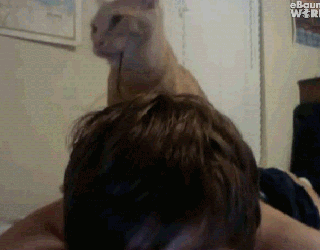 Daily GIFs Mix, part 189
