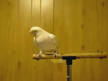 Daily GIFs Mix, part 189