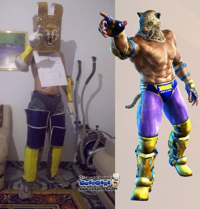 Hilarious Home Made Cosplay Costumes