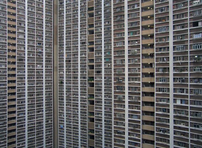 Architecture of Density