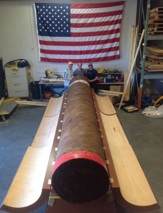 Collector Pays $185,000 for a Giant Cigar