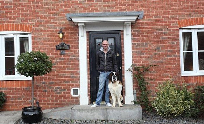 Dog Lives in a Replica of His Owner's House