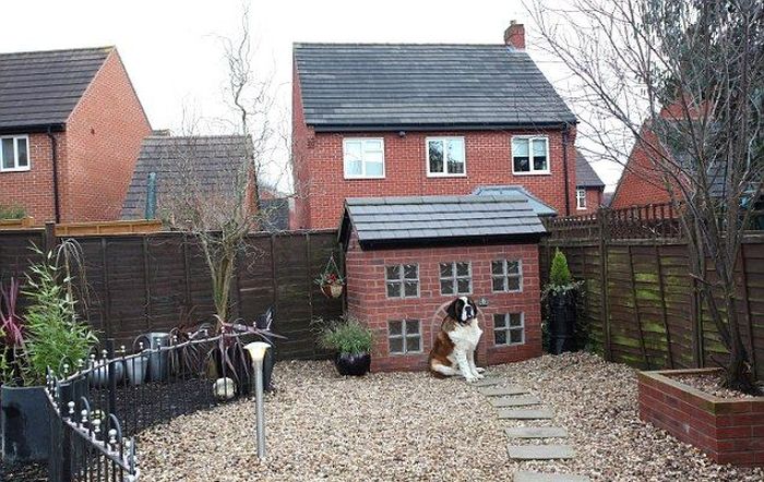 Dog Lives in a Replica of His Owner's House