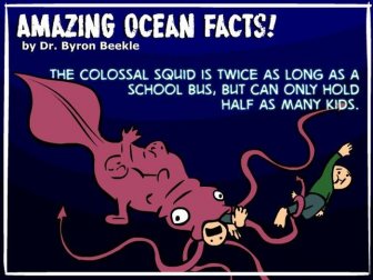 Interesting Ocean Facts