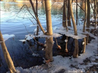 Aftermath of a Winter Flood