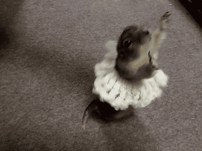 Daily GIFs Mix, part 194