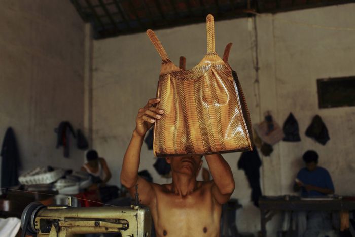 Production of Snakeskin Handbags