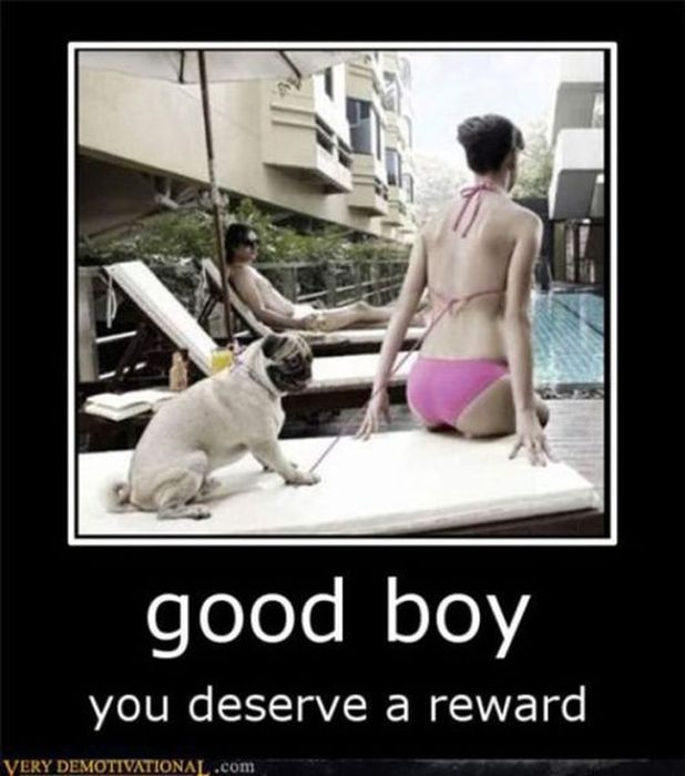 Funny Demotivational Posters, part 162