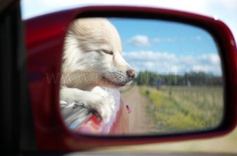 Amazing Views in the Rear-View Mirrors