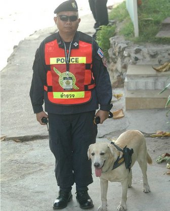 Police Dog in Thailand