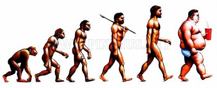 Evolution Pictures 