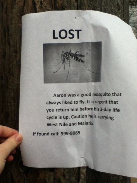 Funny Lost & Found Signs