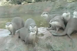 Daily GIFs Mix, part 200