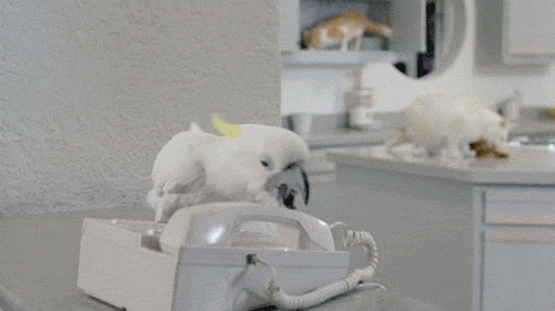 Daily GIFs Mix, part 200