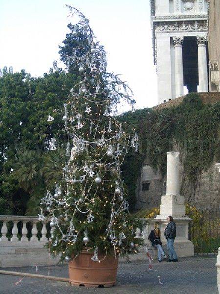 Unusual Christmas Trees