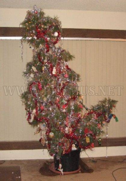 Unusual Christmas Trees