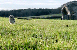 Daily GIFs Mix, part 201