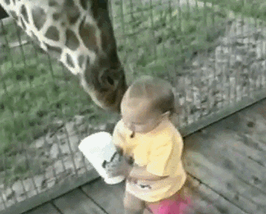 Daily GIFs Mix, part 201