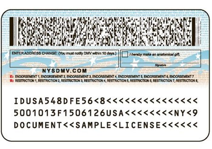 Evolution of the New York Driver’s License