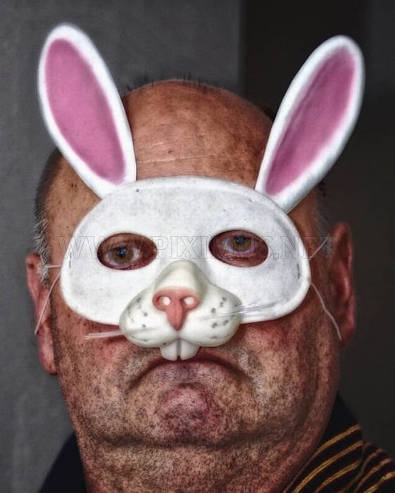 The Worst Bunny Costumes Ever 