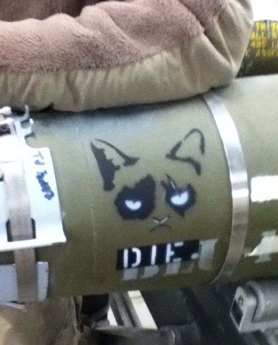 Grumpy Cat On A Bomb