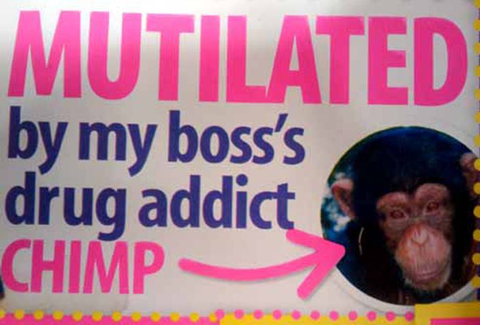 WTF Gossip-Mag Cover Lines