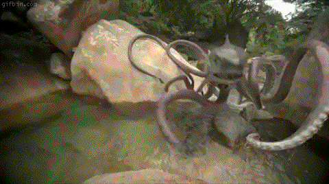 Daily GIFs Mix, part 203