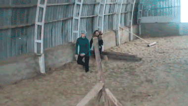 Daily GIFs Mix, part 203