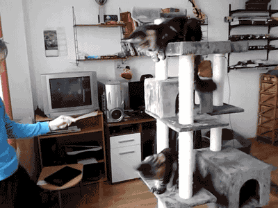 Daily GIFs Mix, part 210