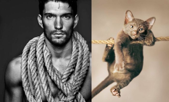 Hot Men And Their Feline Counterparts