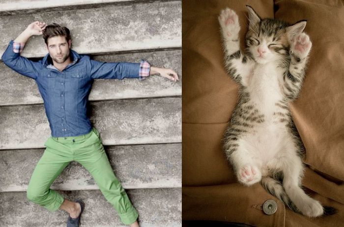 Hot Men And Their Feline Counterparts