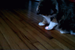 Daily GIFs Mix, part 212