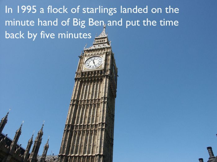 Interesting Facts about London