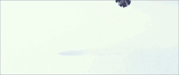 Daily GIFs Mix, part 214