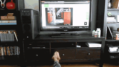 Daily GIFs Mix, part 214
