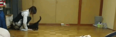 Daily GIFs Mix, part 215