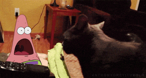 Daily GIFs Mix, part 215