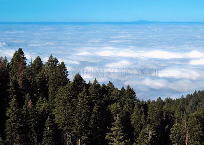 Amazing Places Above the Clouds 